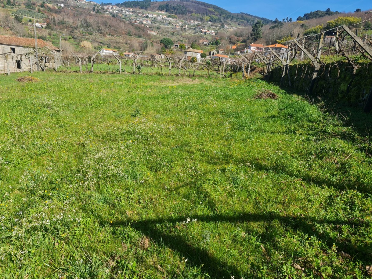 whatsapp-image-2026-03-20-at-111221jpeg