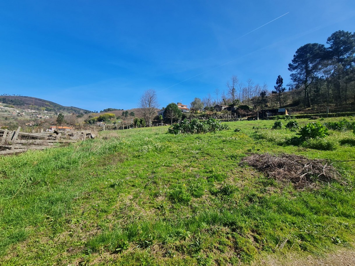 whatsapp-image-2026-03-20-at-111221-5jpeg