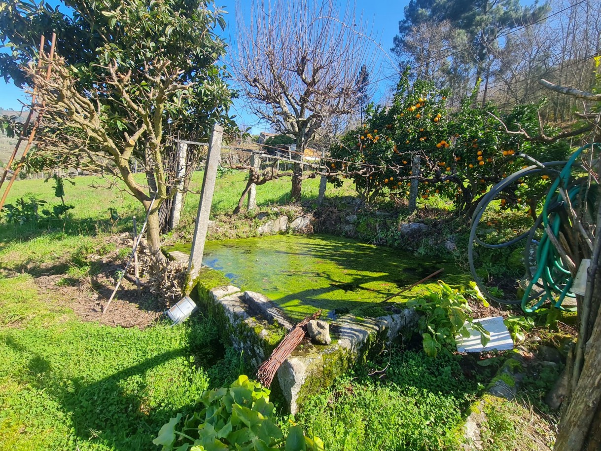 whatsapp-image-2026-03-20-at-111222-1jpeg