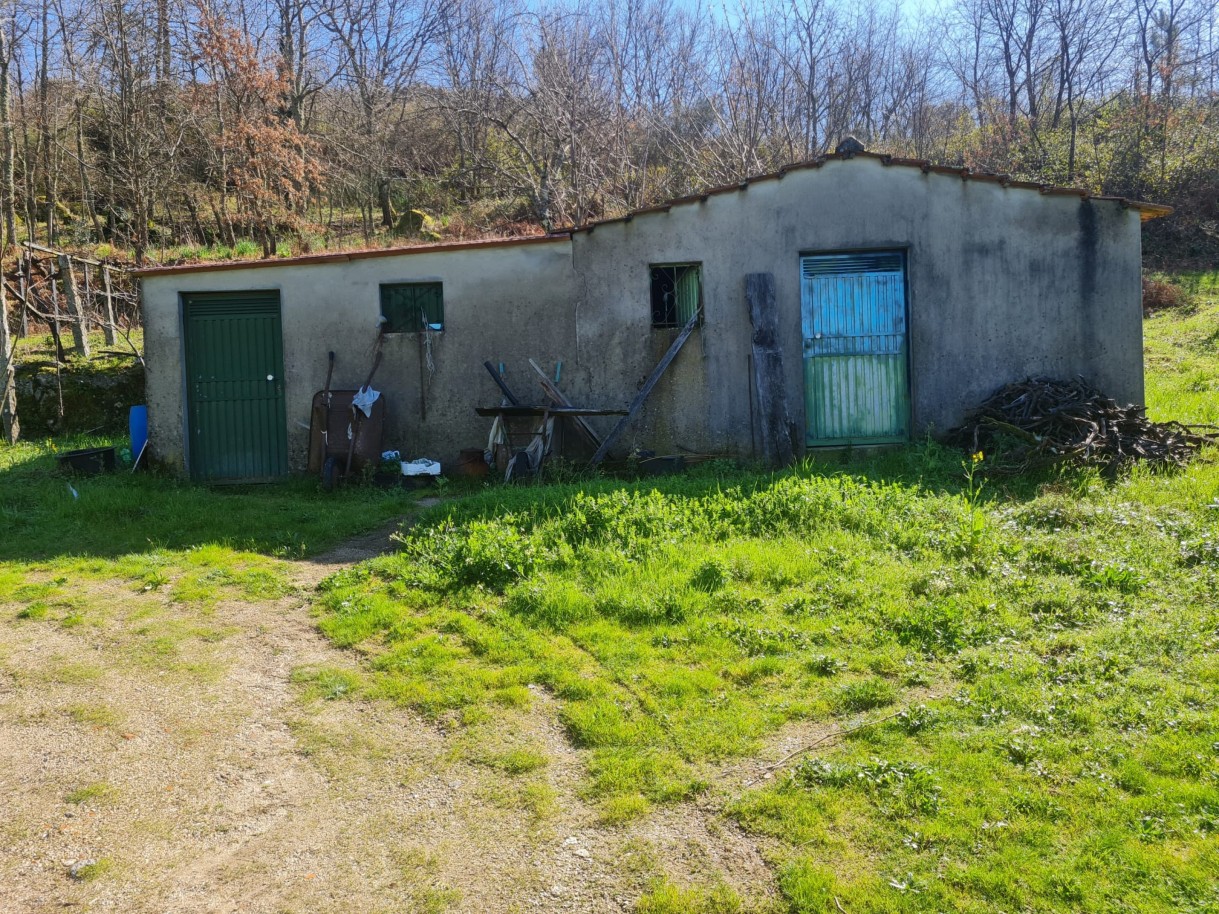 whatsapp-image-2026-03-20-at-111222-2jpeg