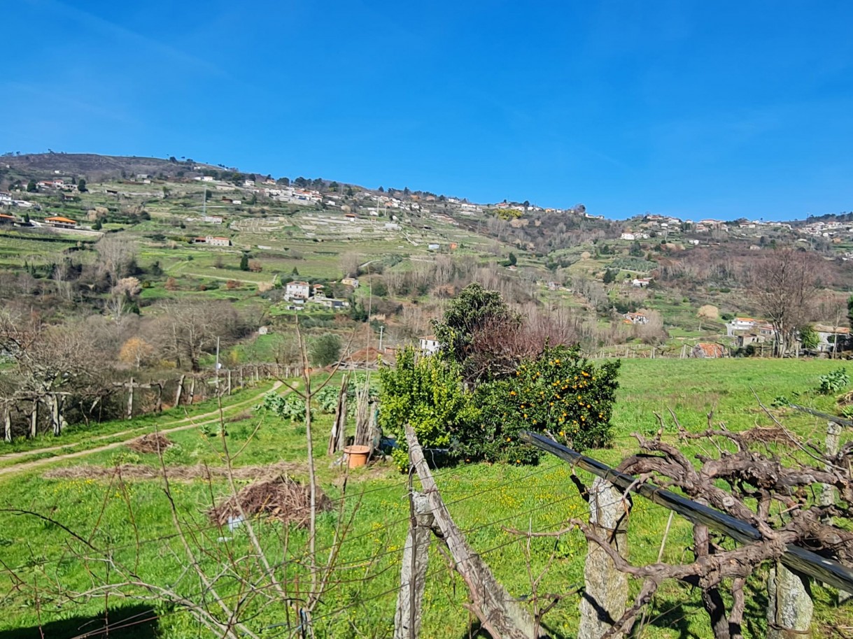 whatsapp-image-2026-03-20-at-111222-4jpeg