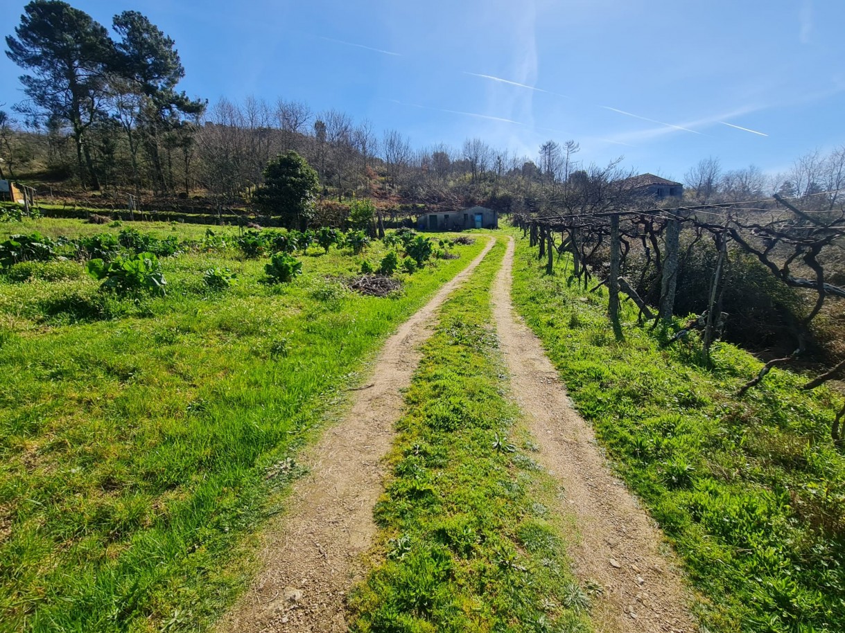 whatsapp-image-2026-03-20-at-111222jpeg