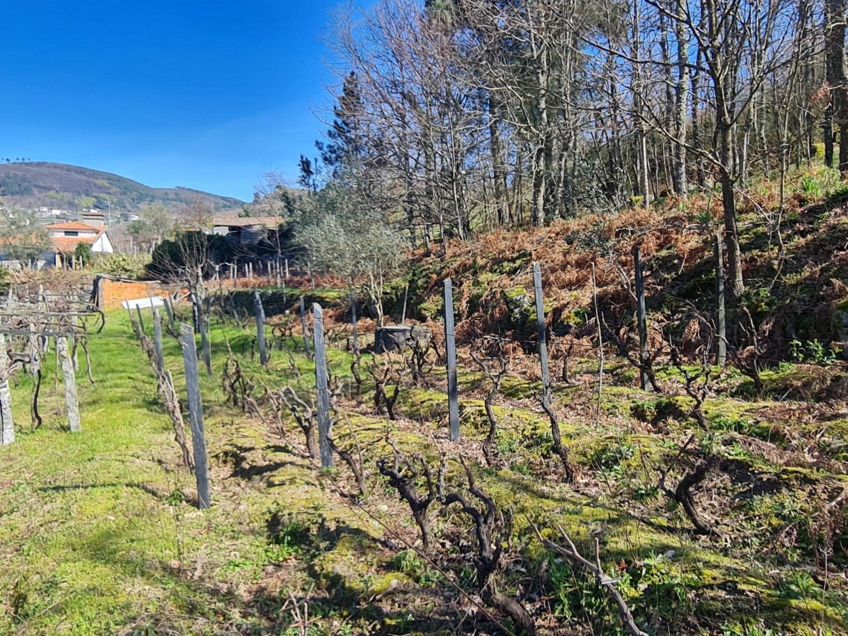 whatsapp-image-2026-03-20-at-111222-3jpeg