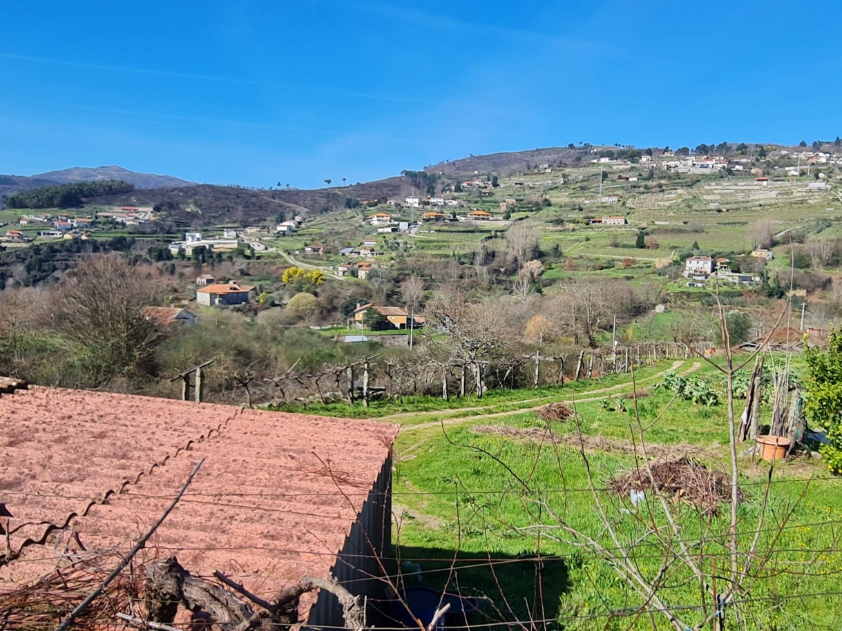 whatsapp-image-2026-03-20-at-111223-1jpeg