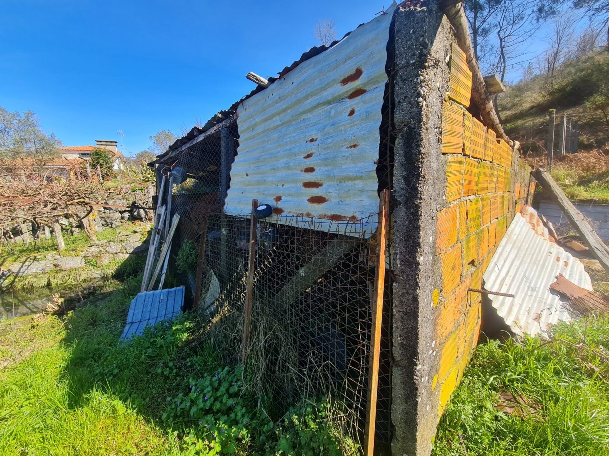 whatsapp-image-2026-03-20-at-111223-2jpeg