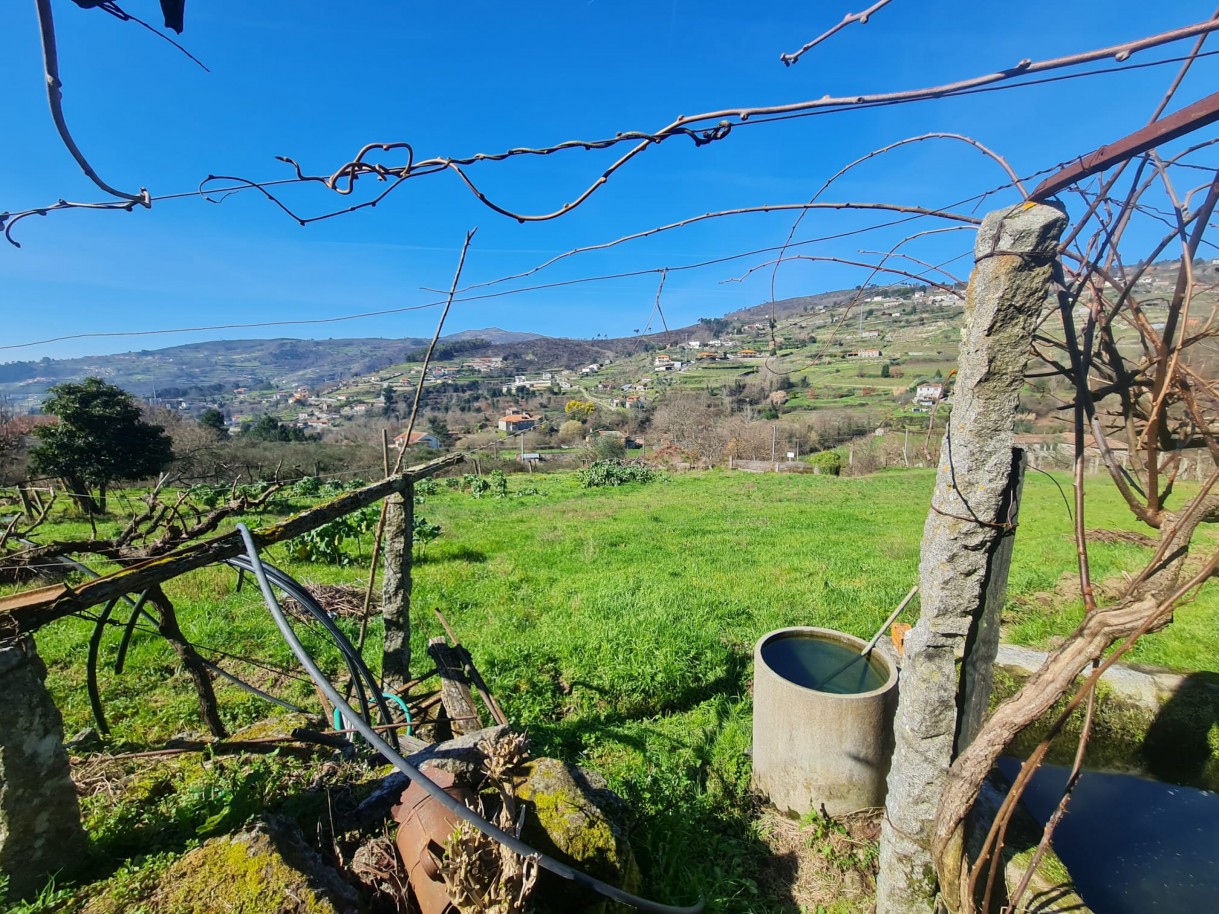 whatsapp-image-2026-03-20-at-111223-4jpeg