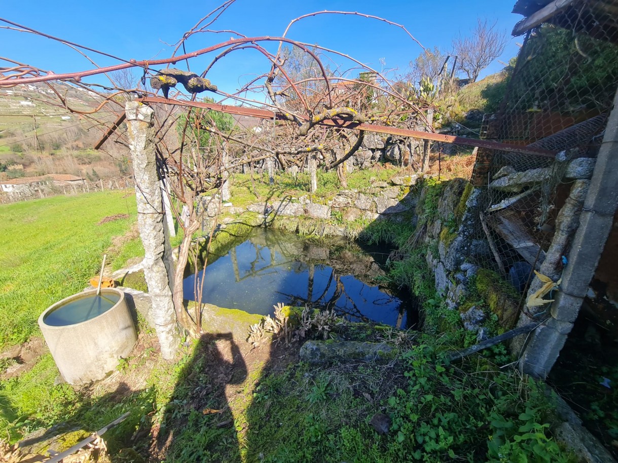 whatsapp-image-2026-03-20-at-111223-3jpeg