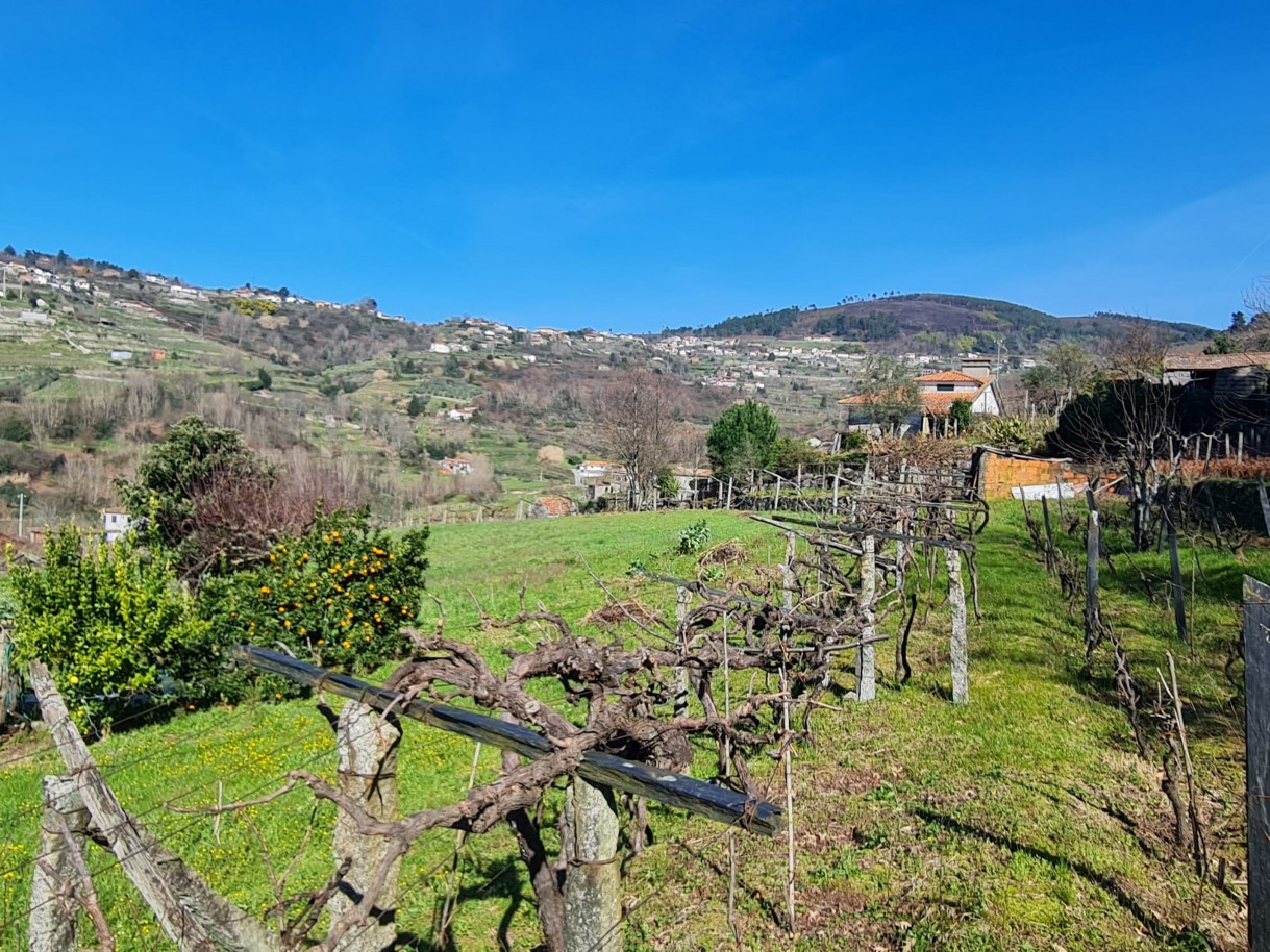 whatsapp-image-2026-03-20-at-111223jpeg