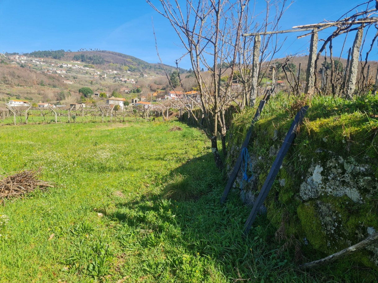 whatsapp-image-2026-03-20-at-111224-1jpeg