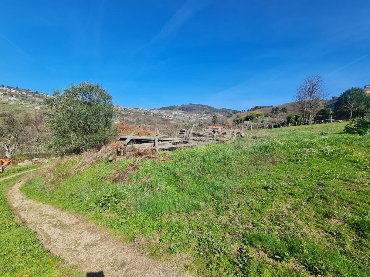 whatsapp-image-2026-03-20-at-111224jpeg