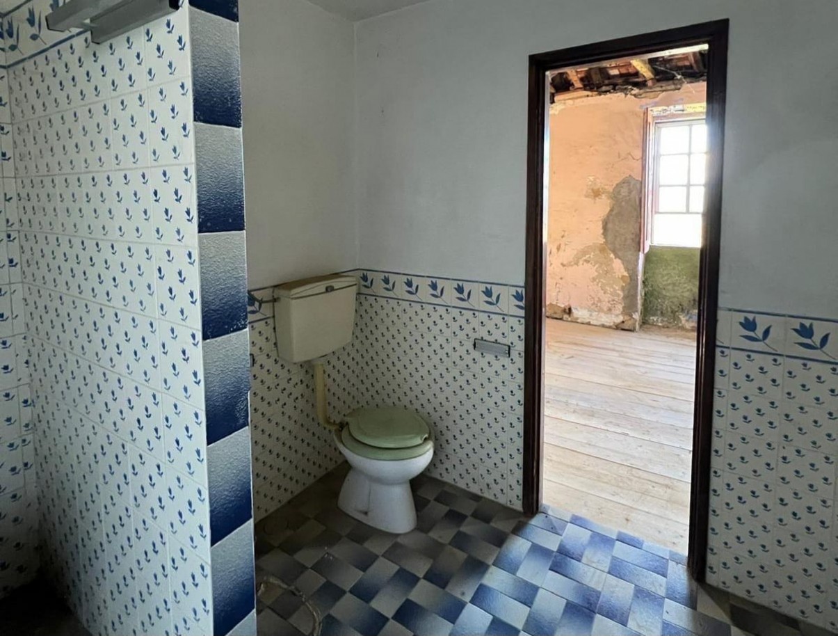 whatsapp-image-2026-03-20-at-112715jpeg