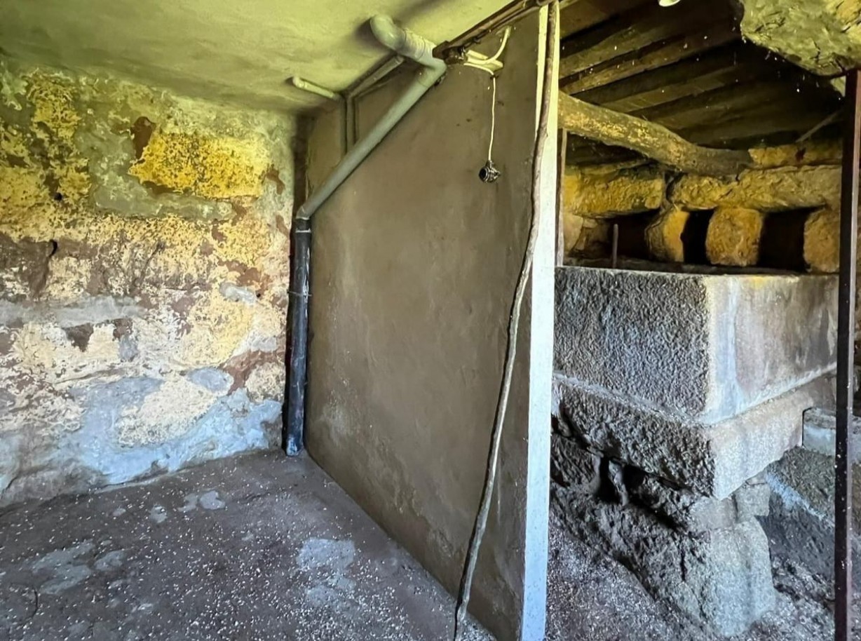 whatsapp-image-2026-03-20-at-112716-1jpeg