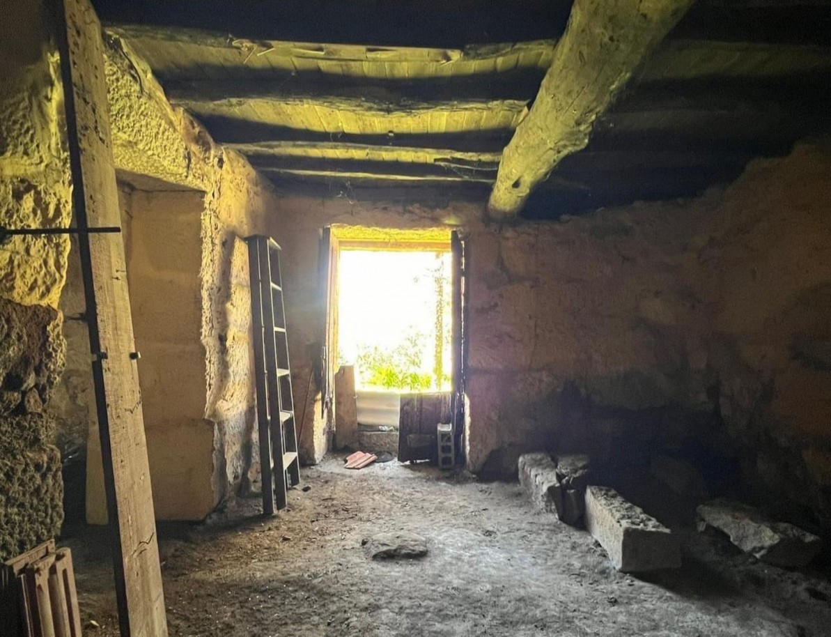 whatsapp-image-2026-03-20-at-112716jpeg