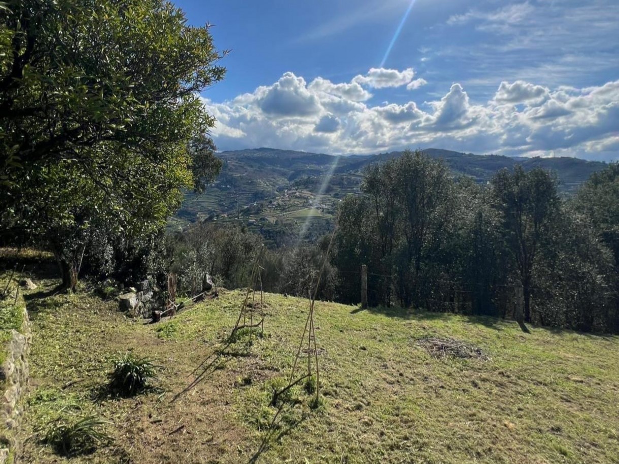 whatsapp-image-2026-03-20-at-112717-1jpeg