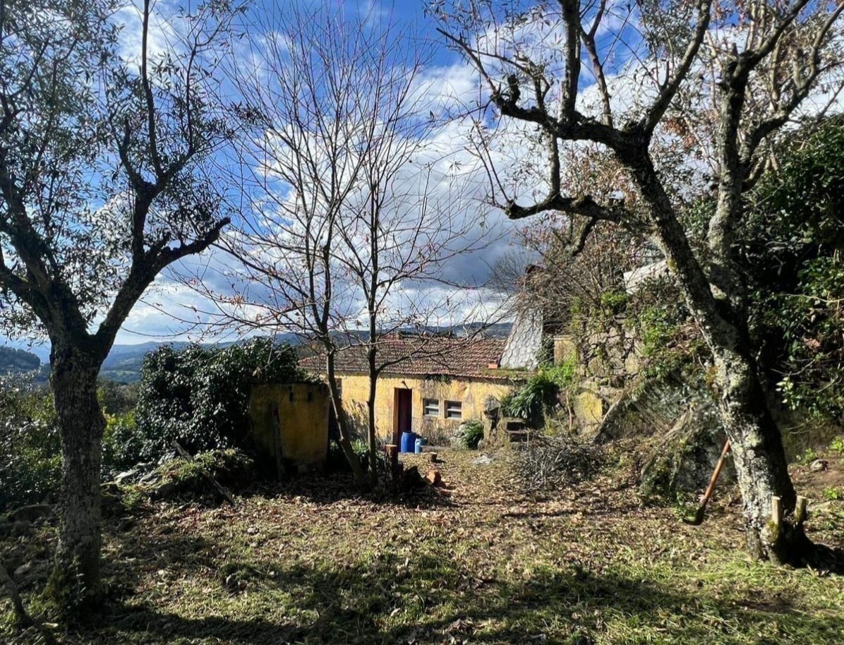 whatsapp-image-2026-03-20-at-112717-2jpeg