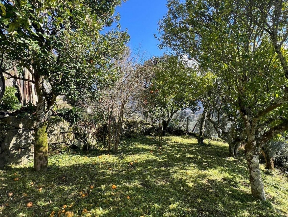 whatsapp-image-2026-03-20-at-112717jpeg