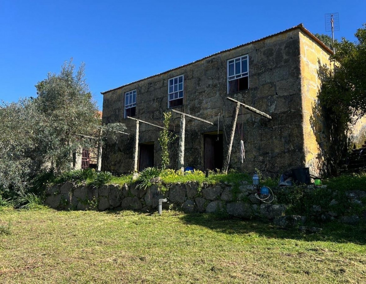 whatsapp-image-2026-03-20-at-112736-1jpeg