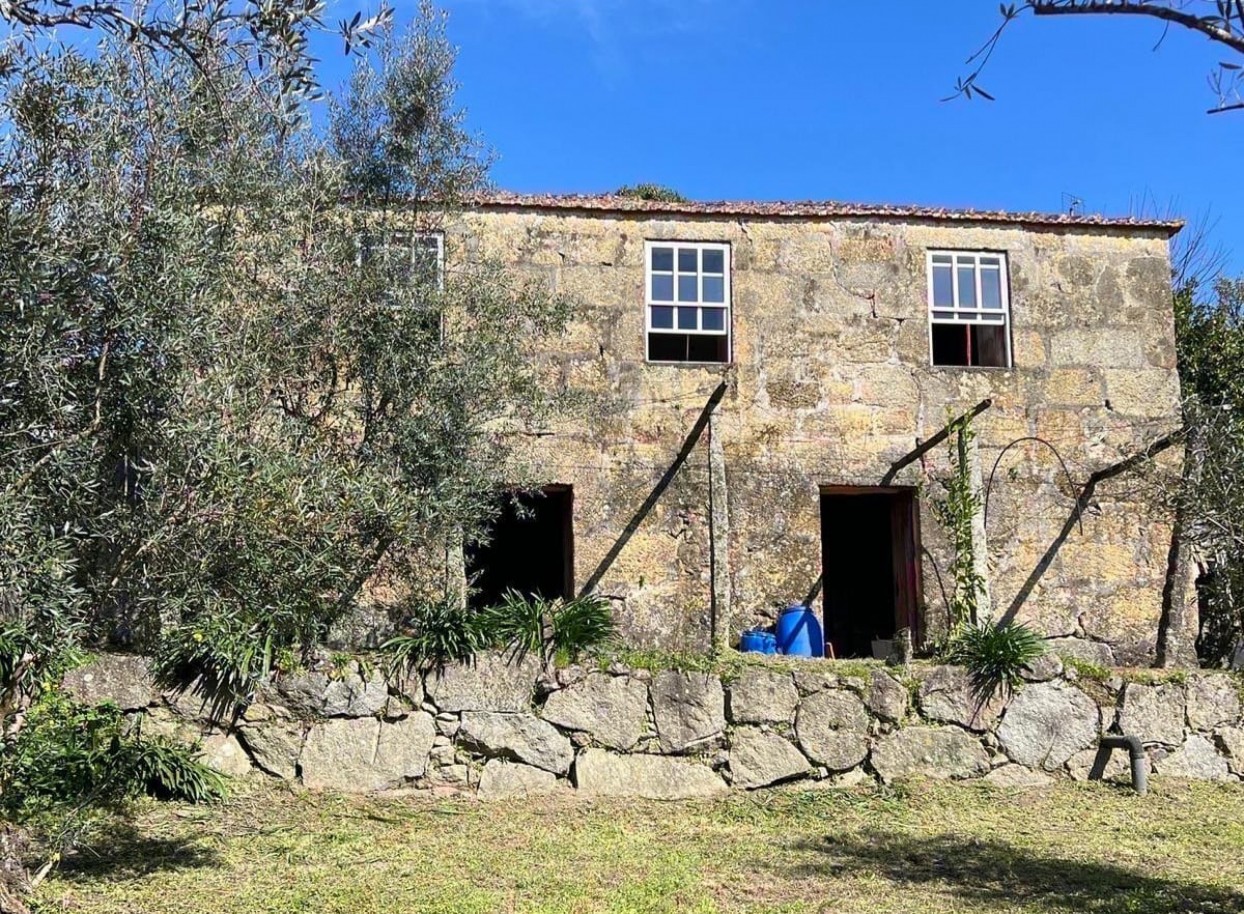 whatsapp-image-2026-03-20-at-112736-2jpeg