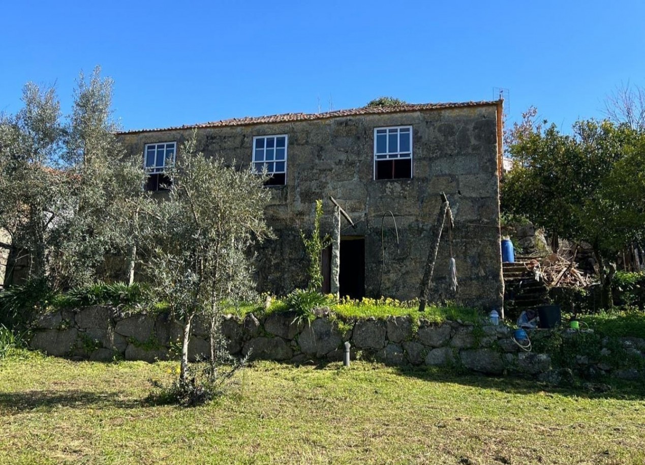 whatsapp-image-2026-03-20-at-112736jpeg