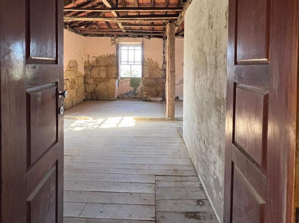 whatsapp-image-2026-03-20-at-112737jpeg