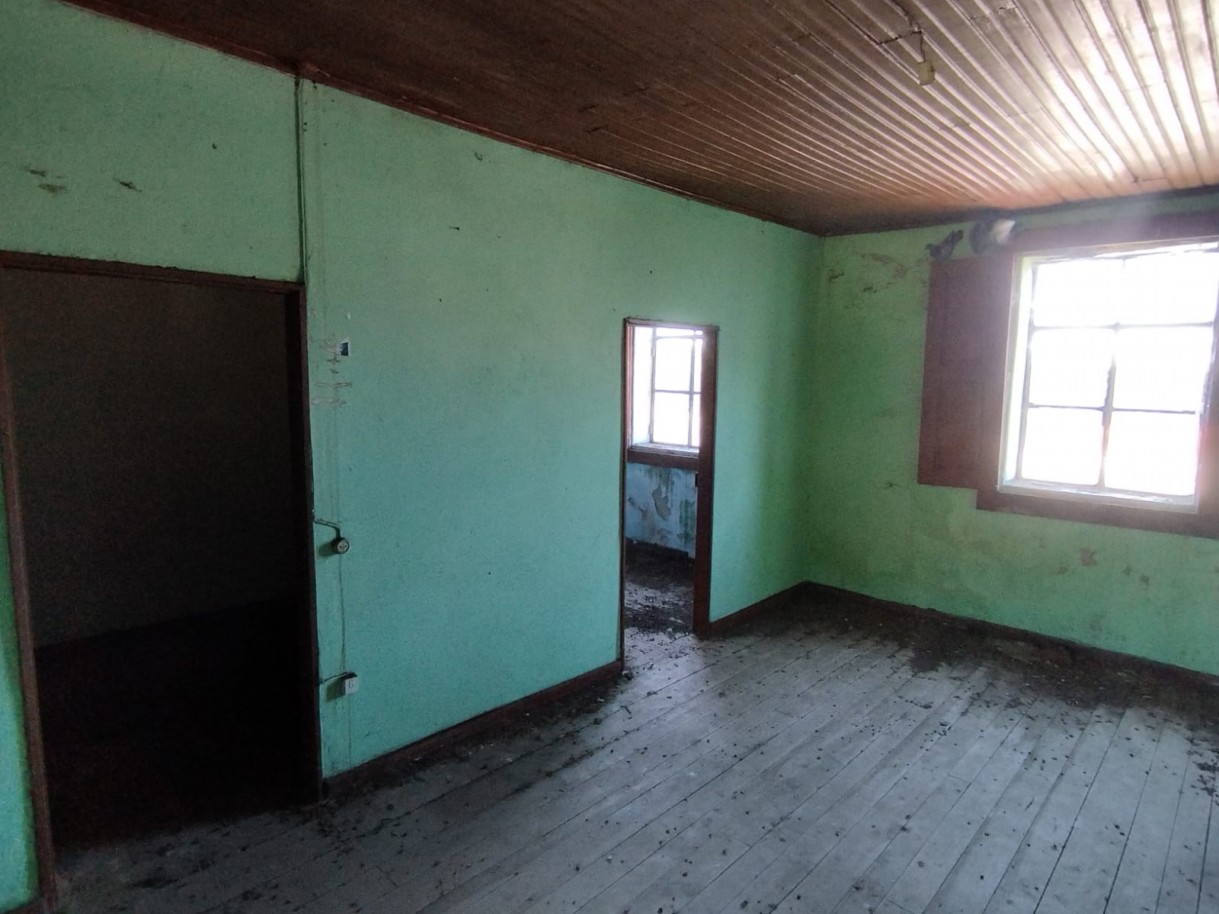 whatsapp-image-2026-03-20-at-114747-2jpeg