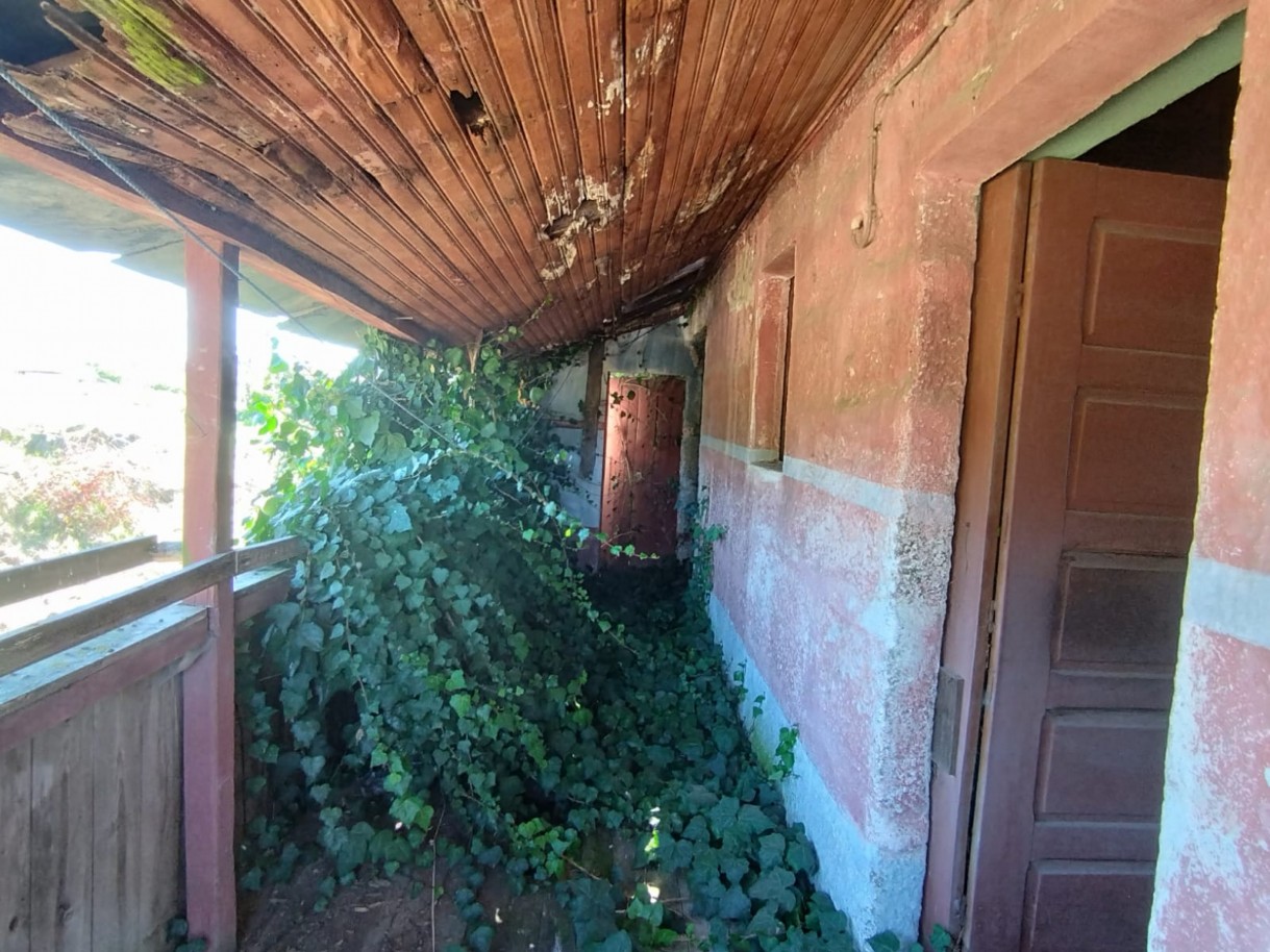 whatsapp-image-2026-03-20-at-114748-1jpeg