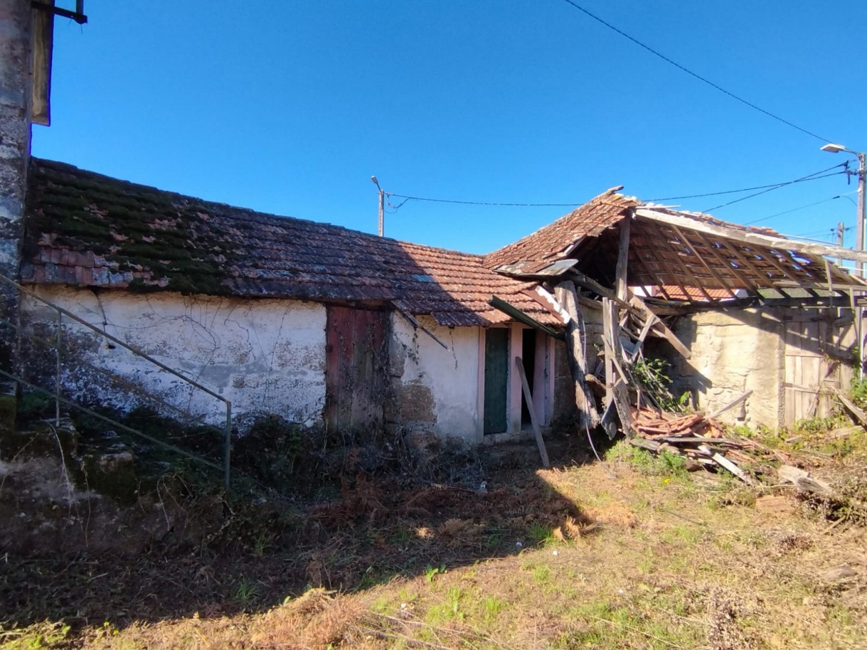 whatsapp-image-2026-03-20-at-114748-2jpeg