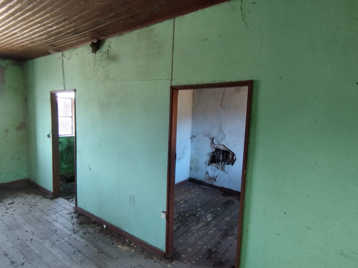 whatsapp-image-2026-03-20-at-114748jpeg