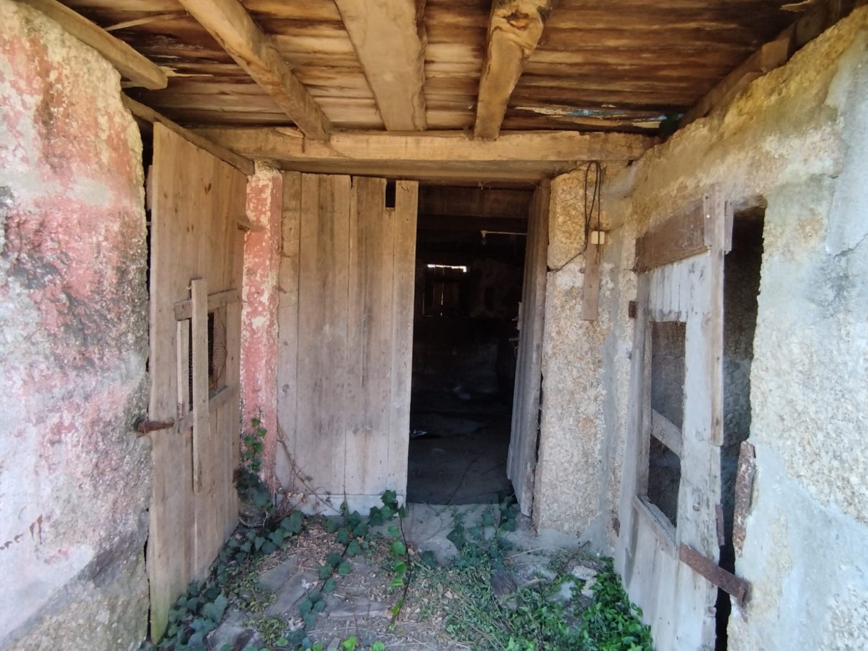 whatsapp-image-2026-03-20-at-114749-1jpeg