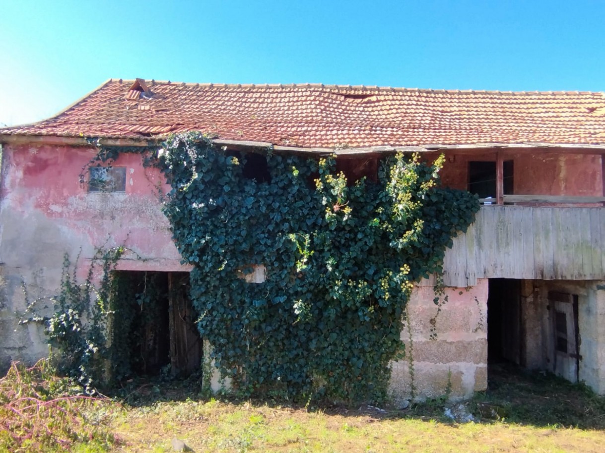 whatsapp-image-2026-03-20-at-114749-3jpeg