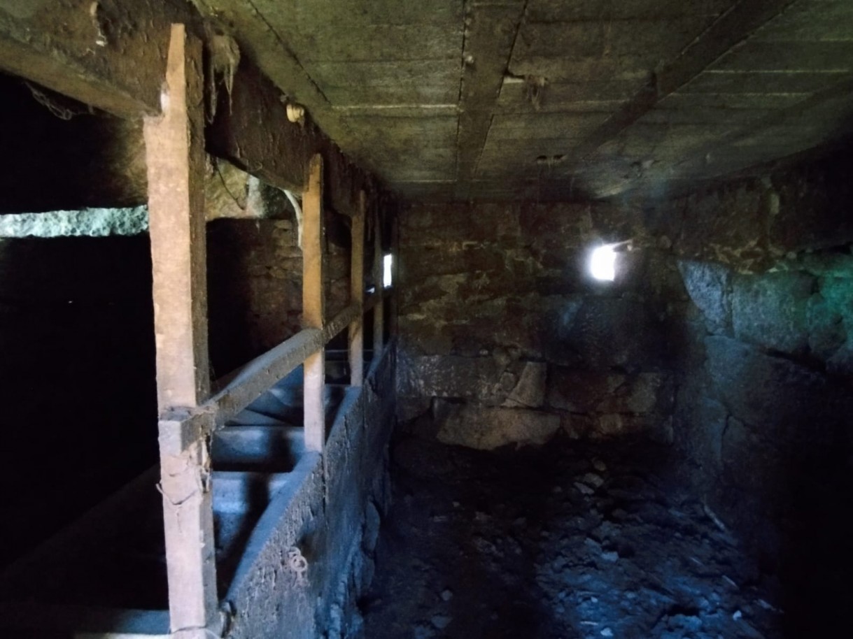 whatsapp-image-2026-03-20-at-114749-2jpeg