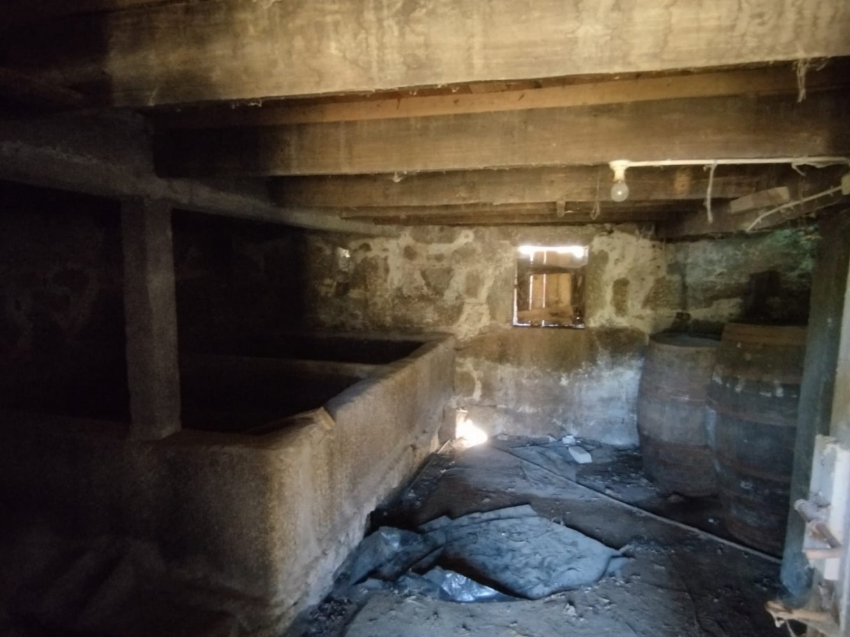 whatsapp-image-2026-03-20-at-114749jpeg