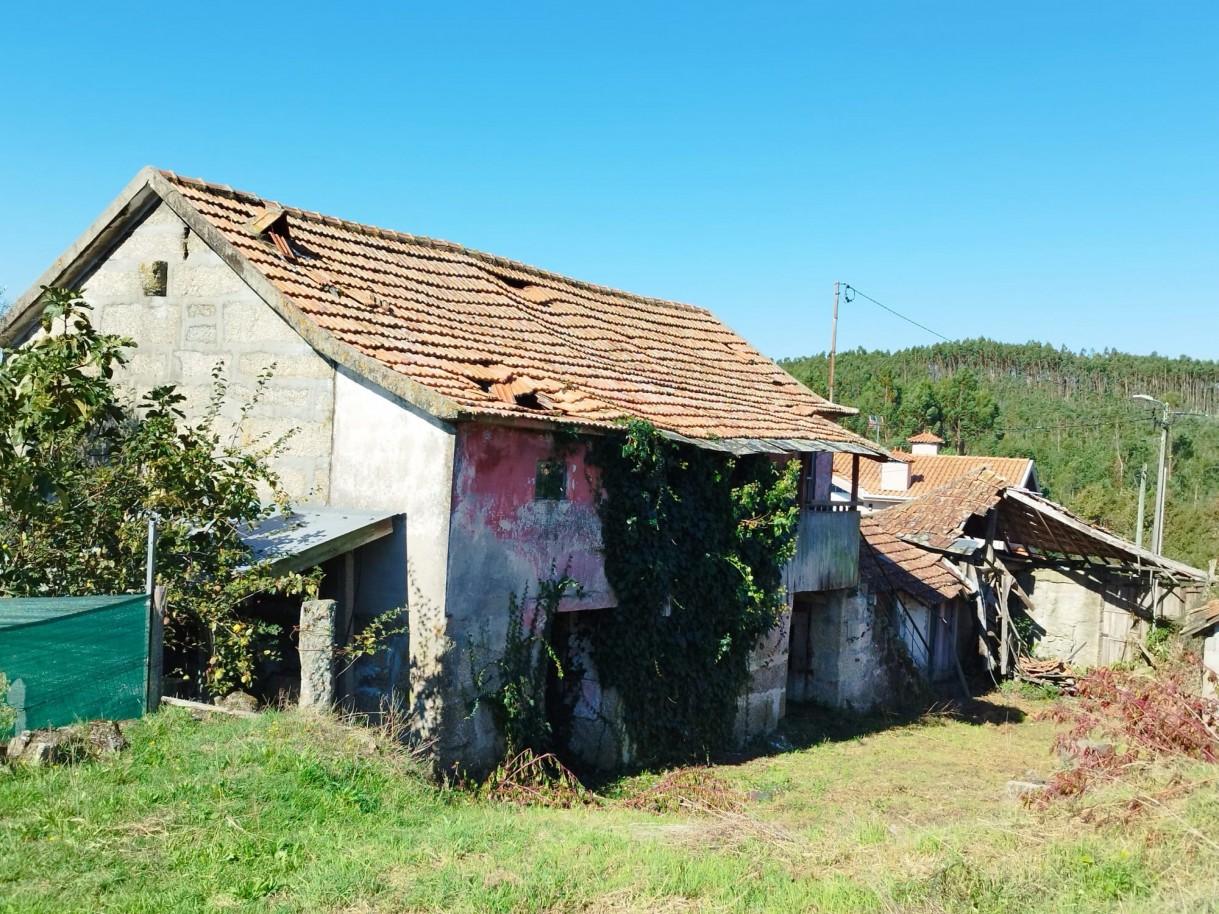 whatsapp-image-2026-03-20-at-114750jpeg