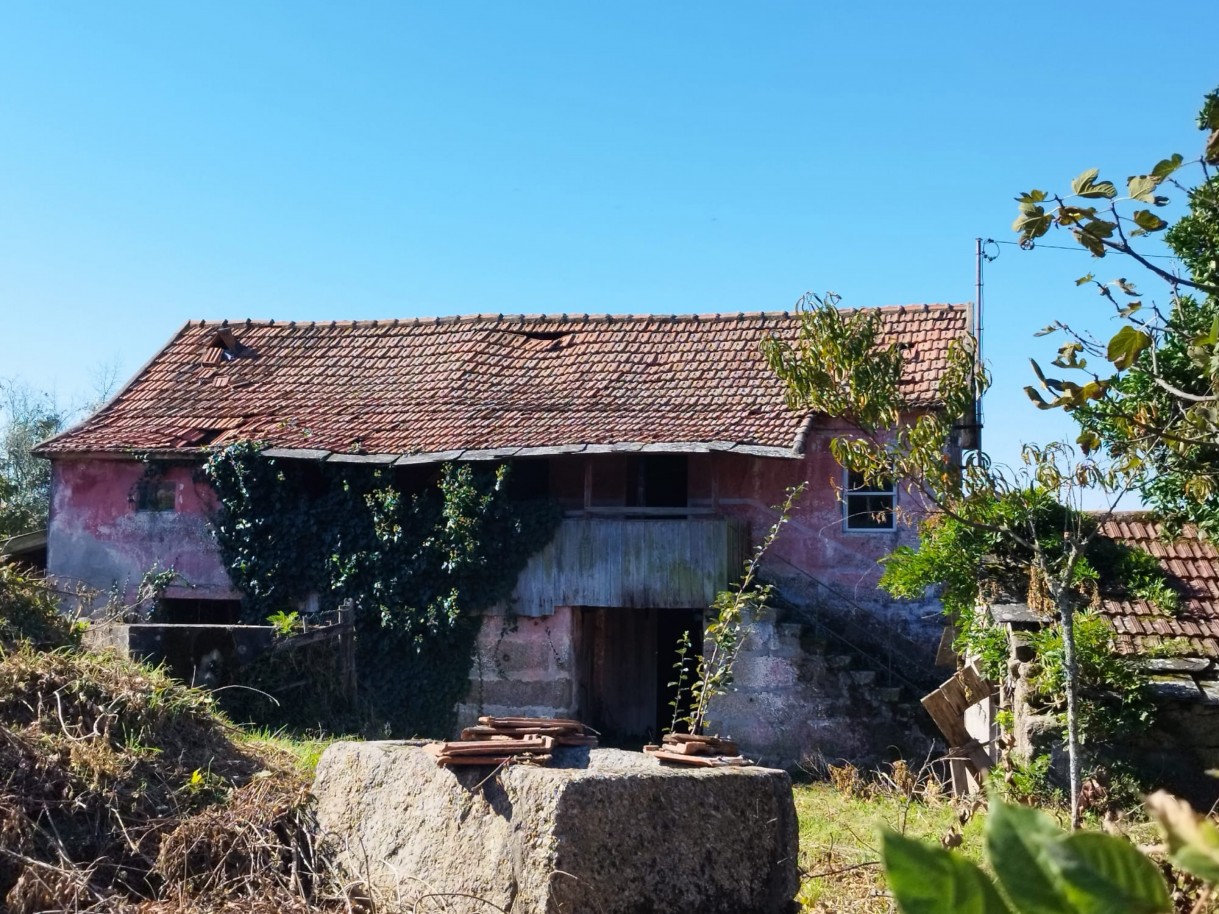 whatsapp-image-2026-03-20-at-114750-1jpeg