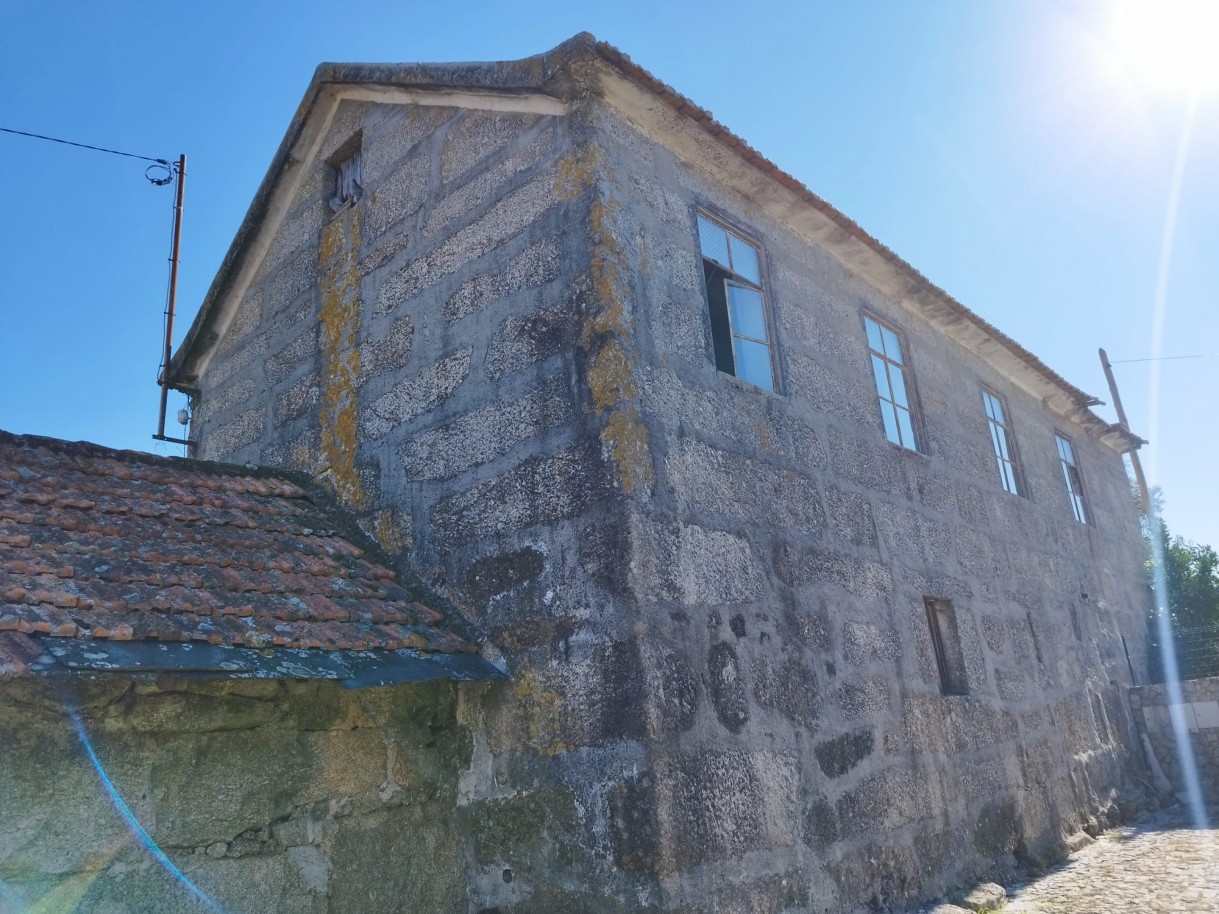 whatsapp-image-2026-03-20-at-114751-2jpeg