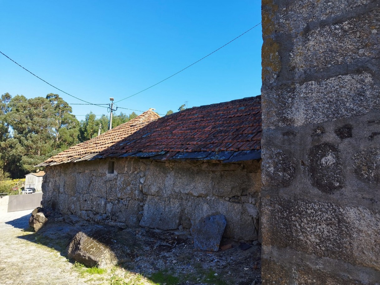 whatsapp-image-2026-03-20-at-114751-1jpeg