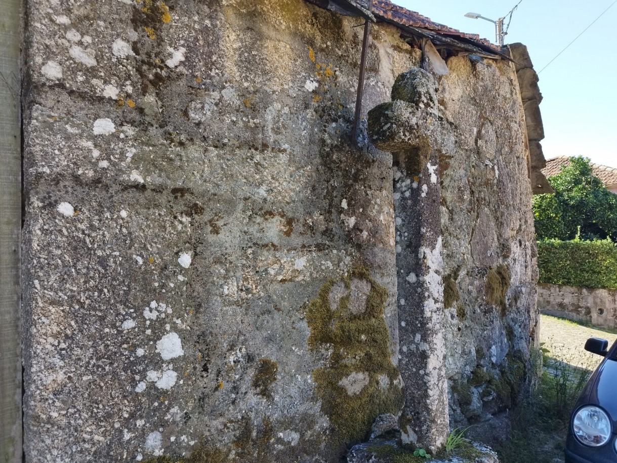 whatsapp-image-2026-03-20-at-114751jpeg