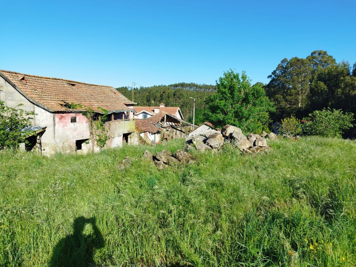 whatsapp-image-2026-03-20-at-114752jpeg