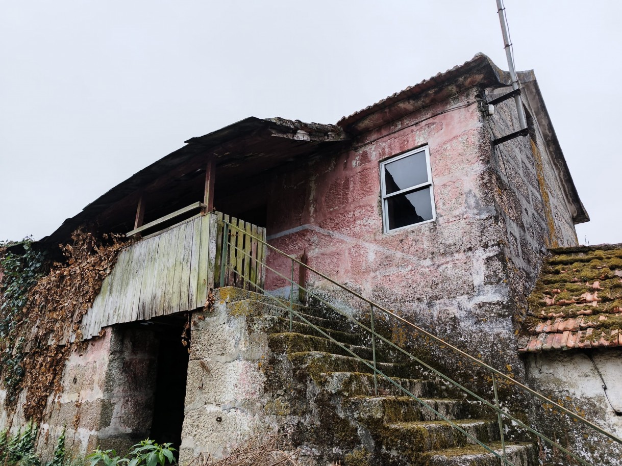 whatsapp-image-2026-03-20-at-114754jpeg