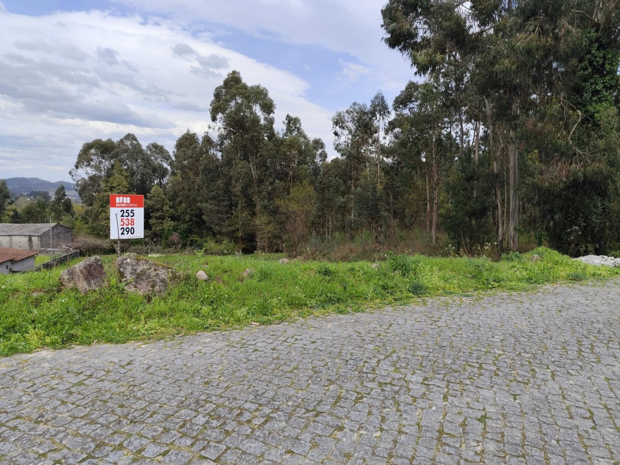 whatsapp-image-2026-03-20-at-111155jpeg