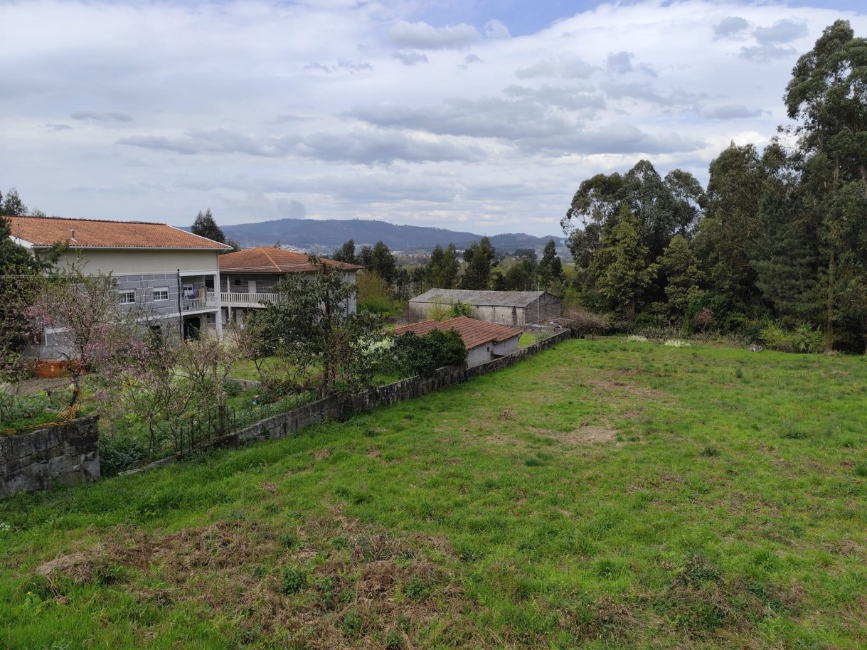 whatsapp-image-2026-03-20-at-111156-1jpeg