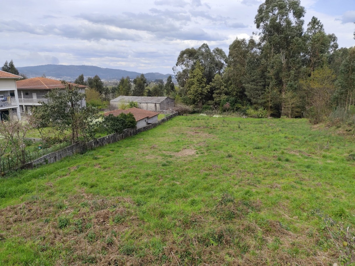 whatsapp-image-2026-03-20-at-111156-4jpeg