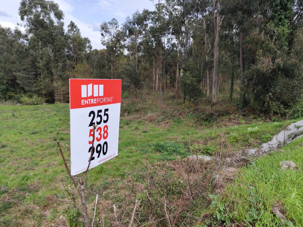 whatsapp-image-2026-03-20-at-111156-3jpeg