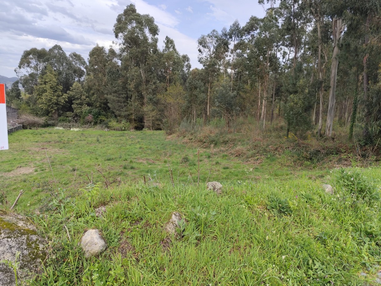 whatsapp-image-2026-03-20-at-111156-6jpeg