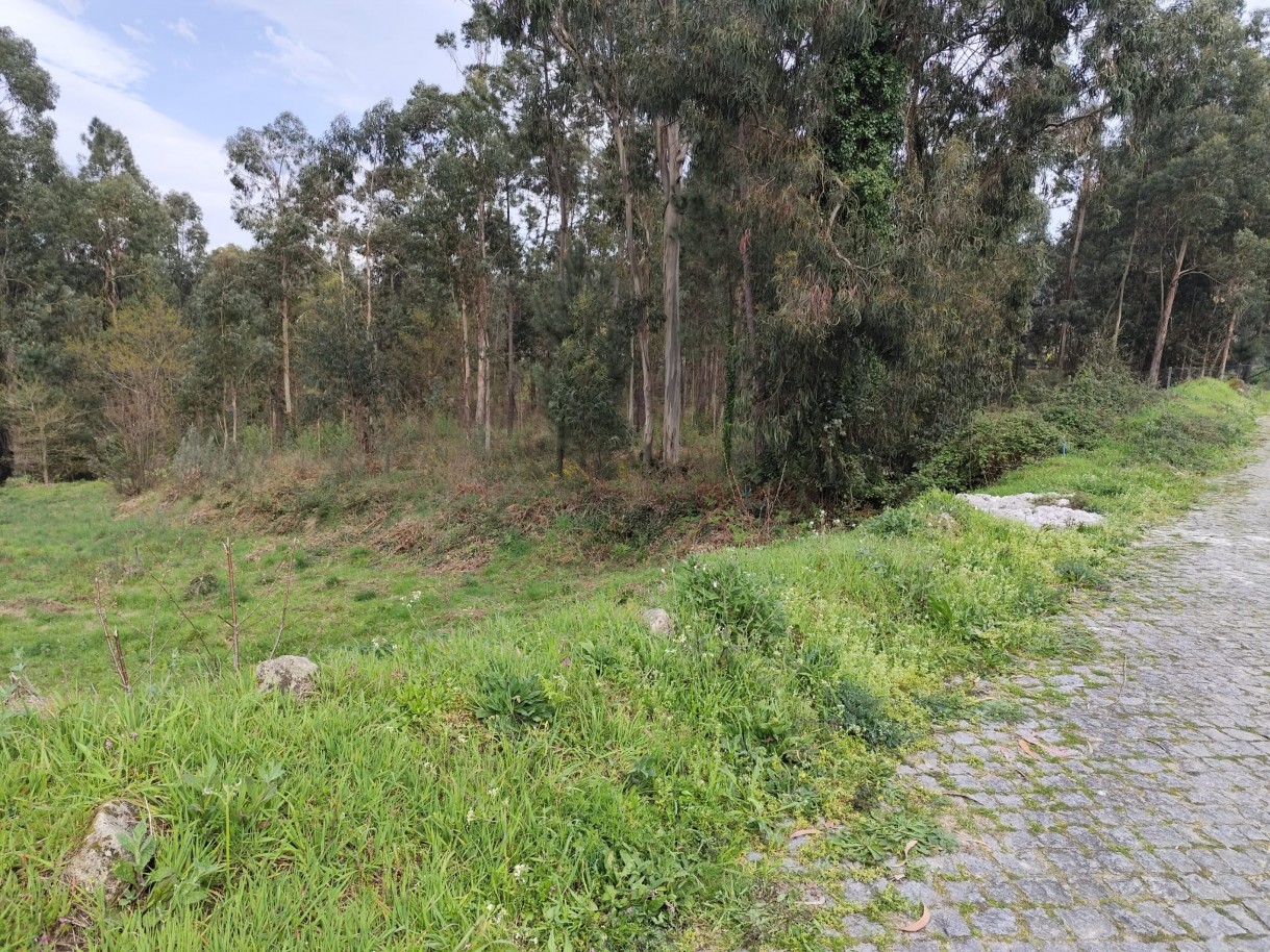 whatsapp-image-2026-03-20-at-111156-5jpeg