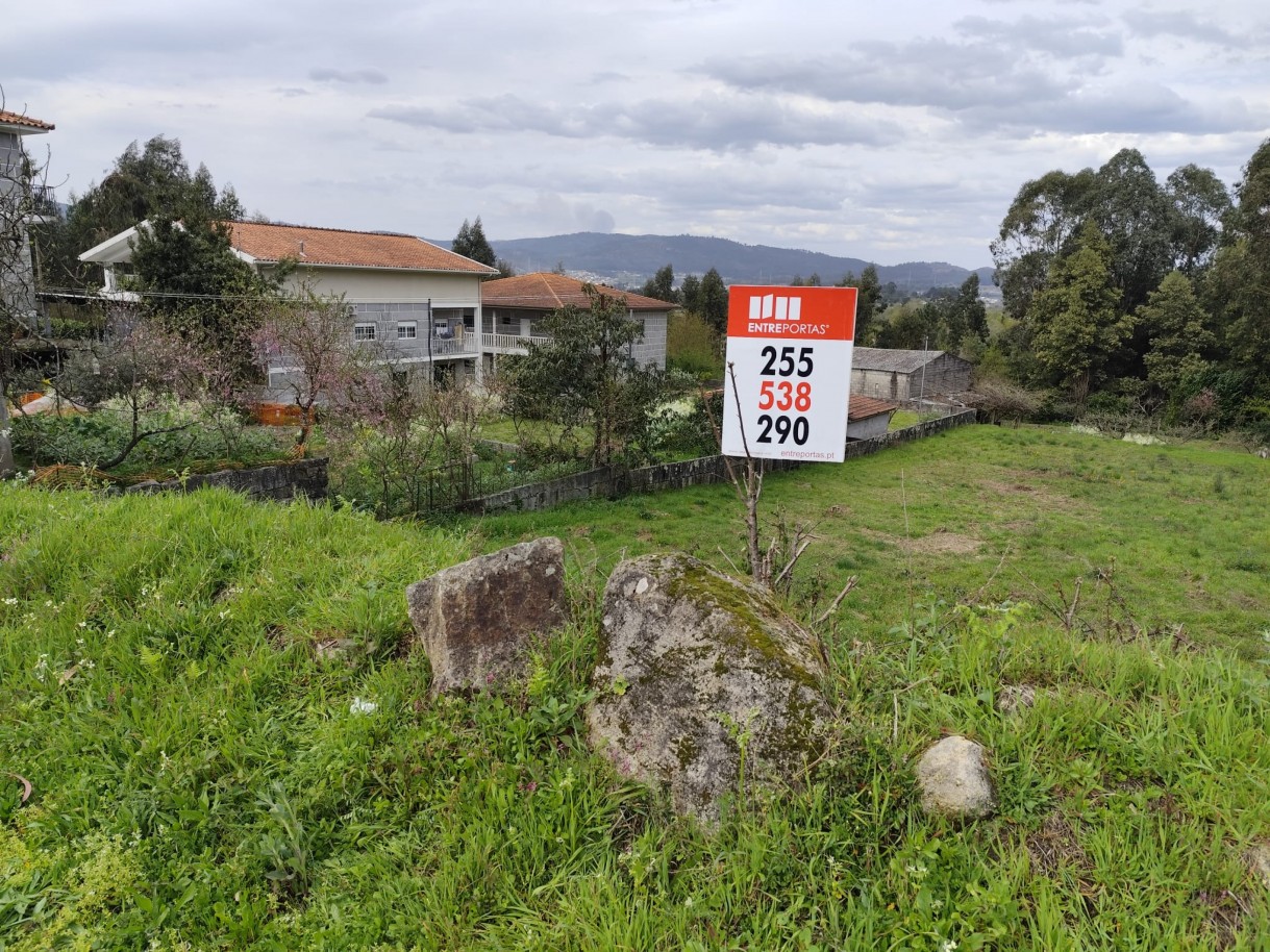 whatsapp-image-2026-03-20-at-111156-7jpeg