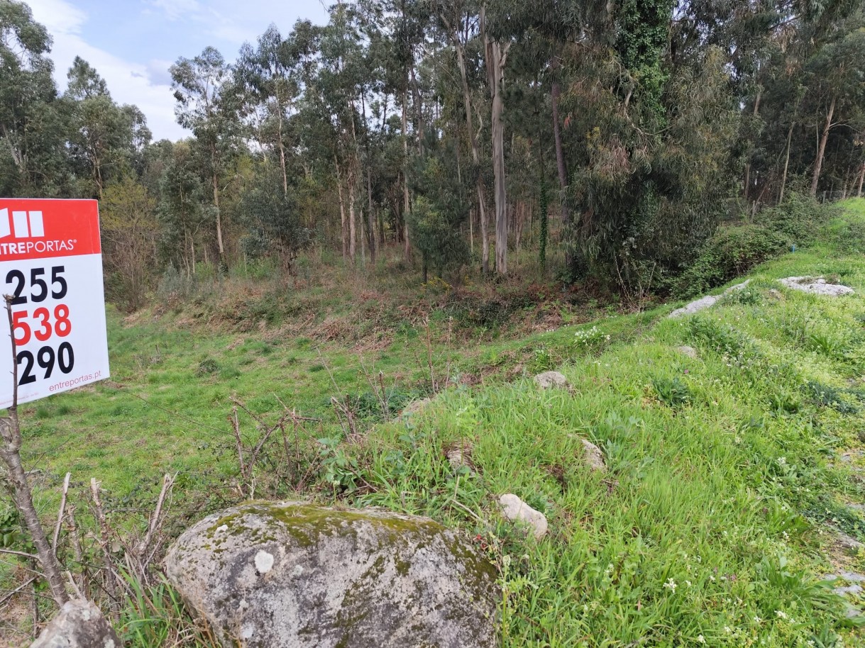 whatsapp-image-2026-03-20-at-111156jpeg