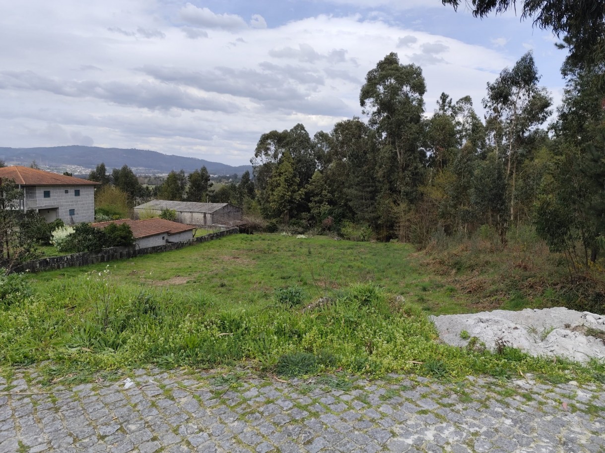 whatsapp-image-2026-03-20-at-111157-1jpeg