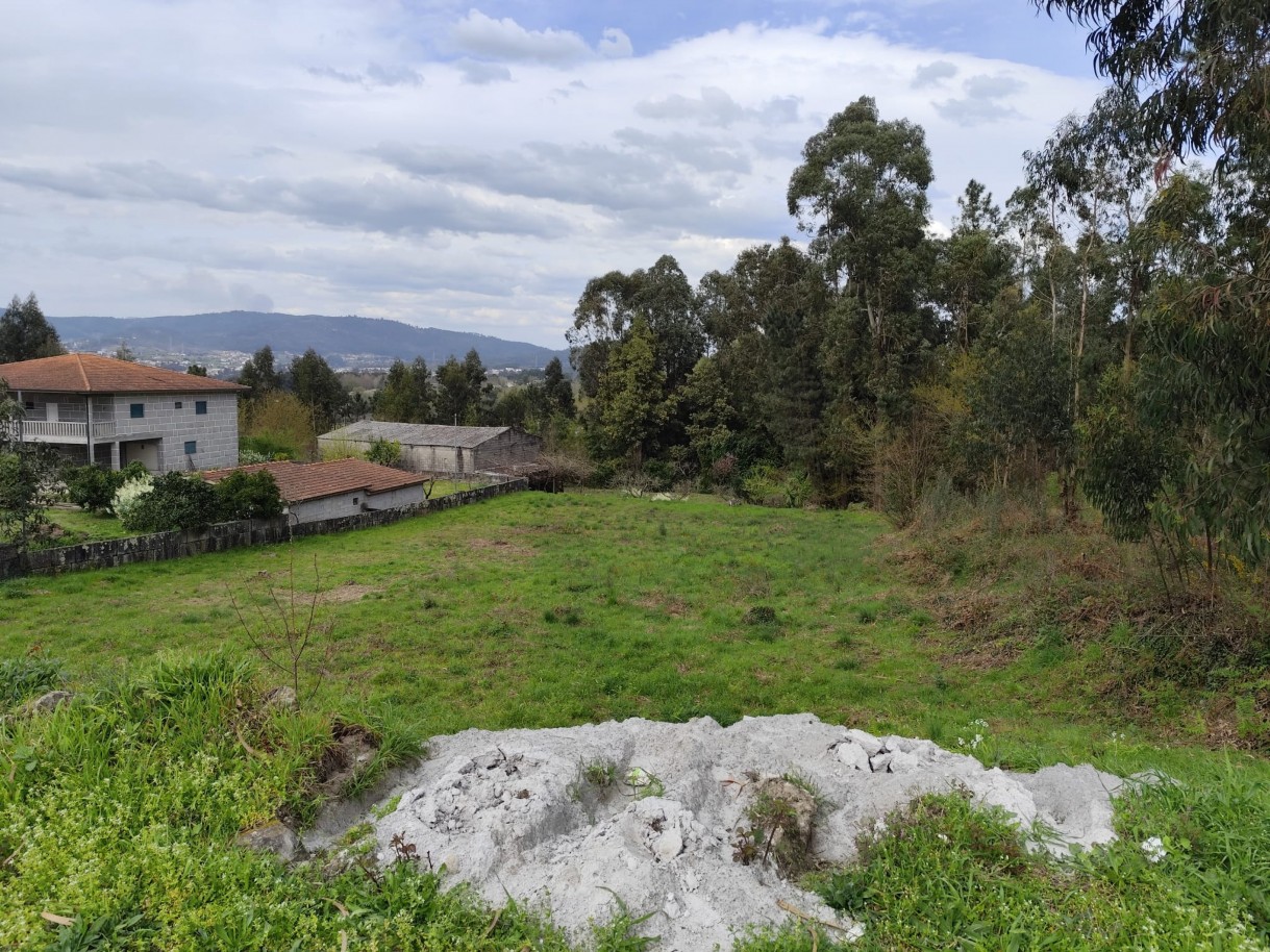 whatsapp-image-2026-03-20-at-111157-3jpeg