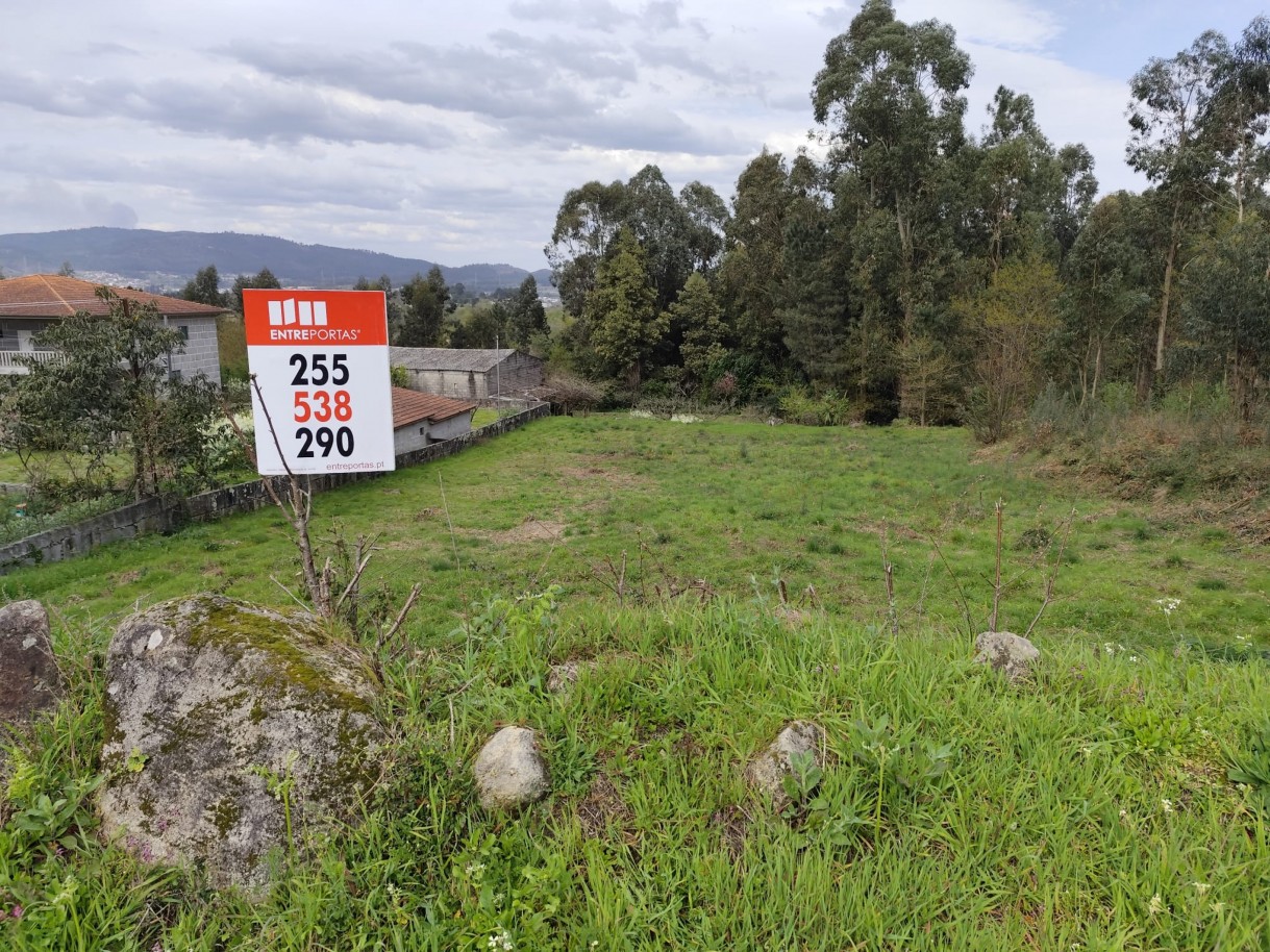 whatsapp-image-2026-03-20-at-111157jpeg